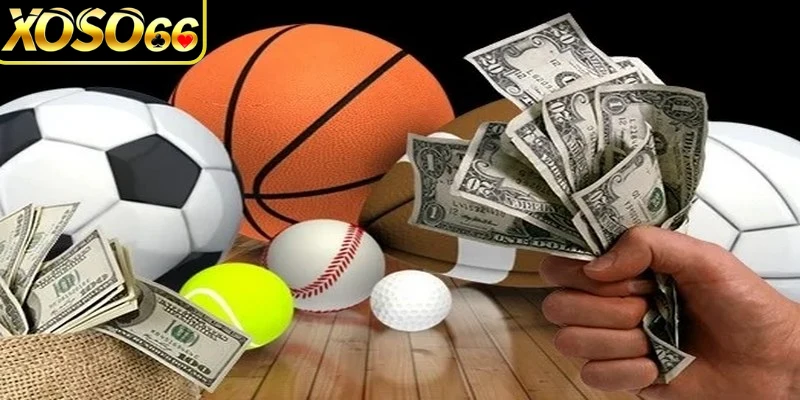 Bí quyết cá cược hiệu quả và dễ thắng tại sảnh thể thao Xoso66